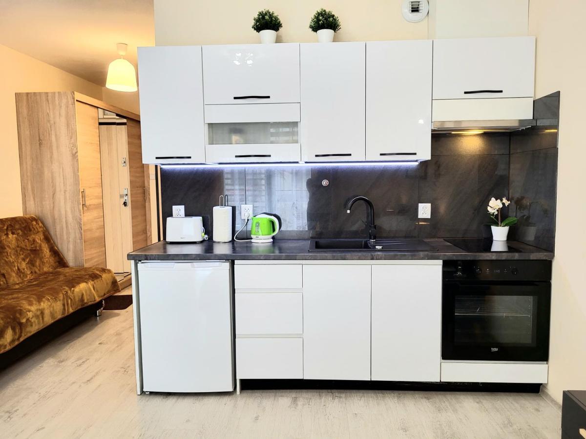 Cracow Novum Apartment Downtown 4 Persons Krasków Εξωτερικό φωτογραφία